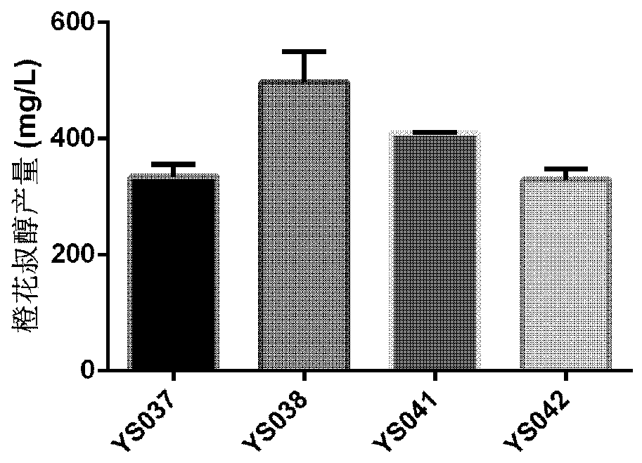 Method for increasing nerolidol yield of saccharomyces cerevisiae