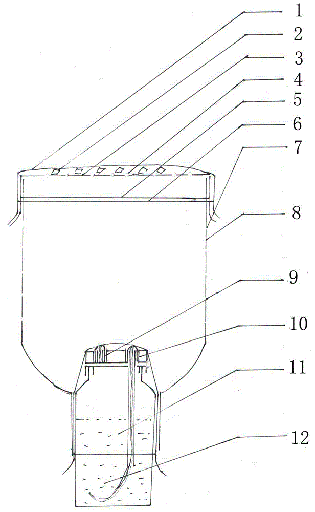 Adult plutellaxylostella feeding bottle