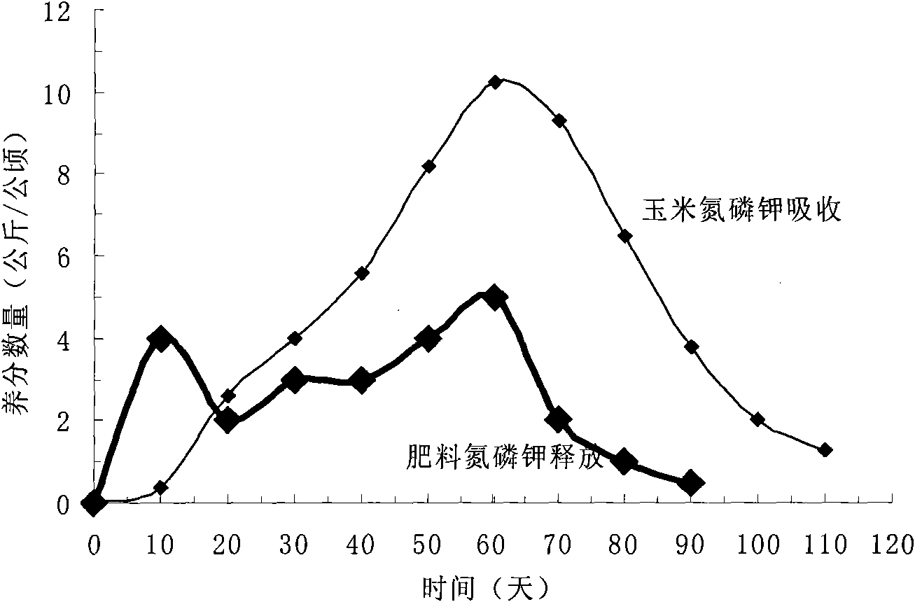 Seed-friendly corn-specific controlled-release fertilizer