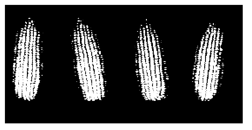 Corn ear test method