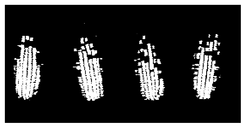 Corn ear test method