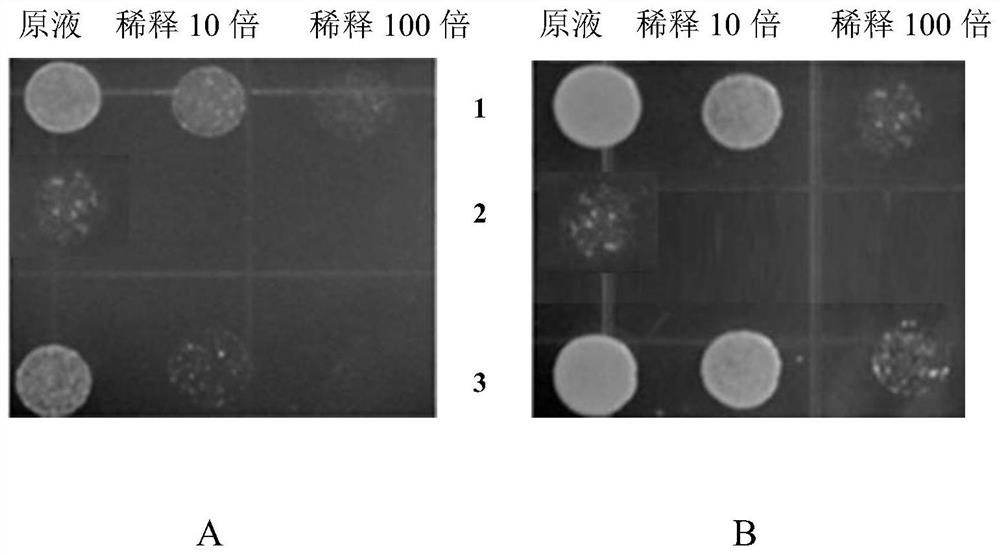 Tobacco kup2 gene and its application