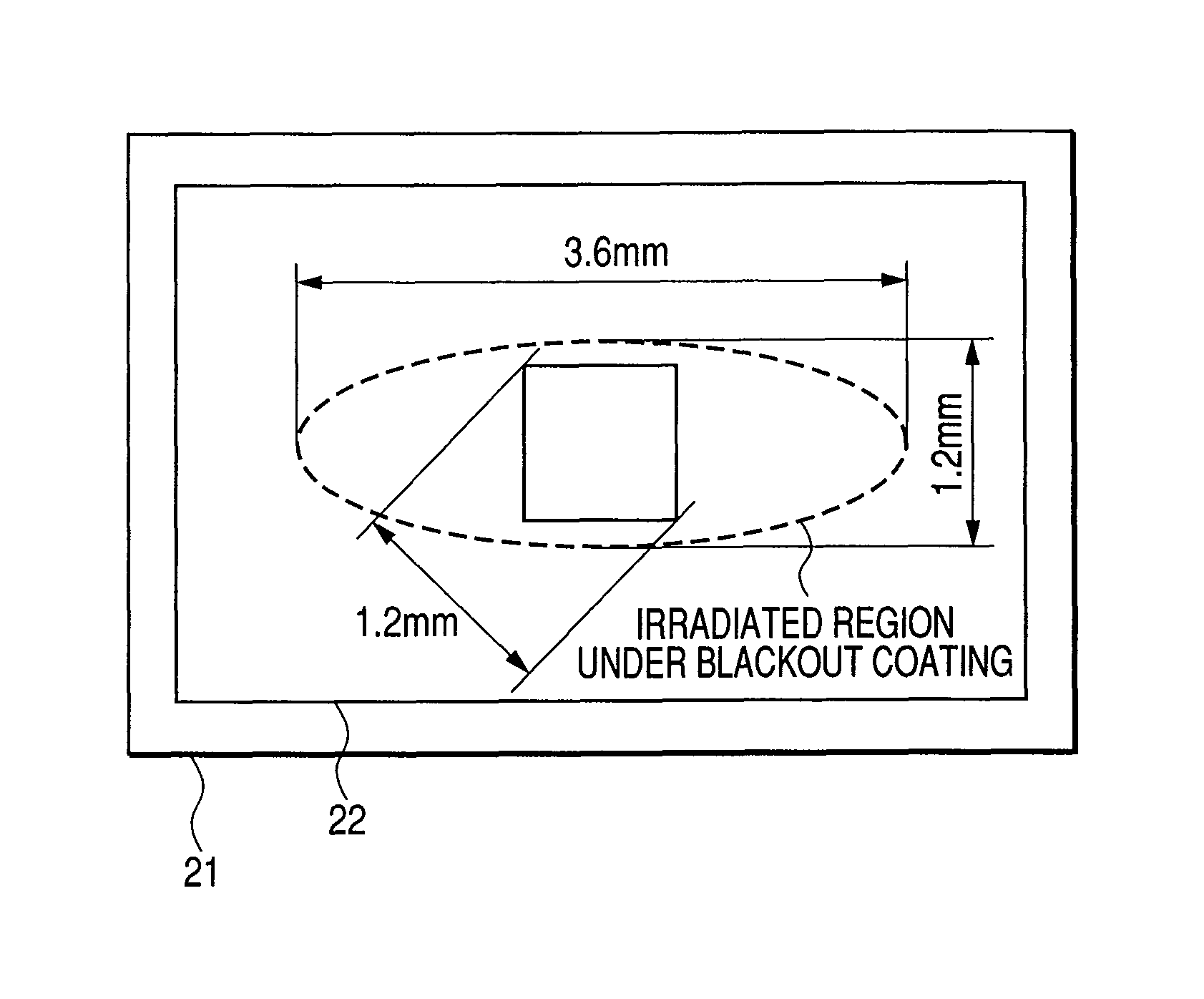 Fluorescence detection apparatus and method, and prism used therein