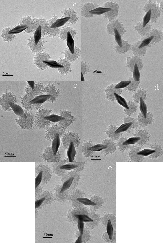 A kind of dumbbell-shaped gold nano bicone-titanium dioxide nanocomposite material and preparation method thereof