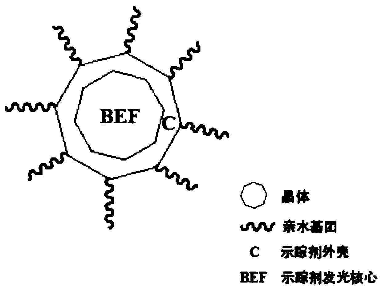 Synthetic method and application of BEFC tracer