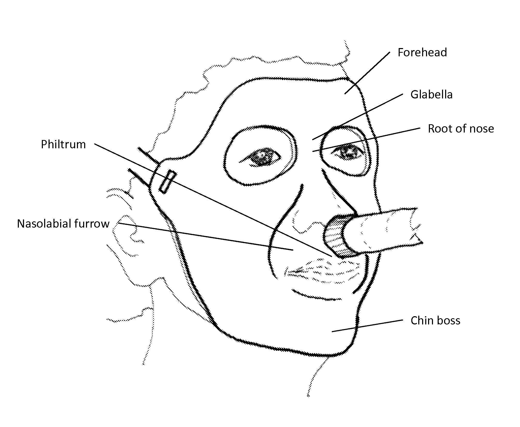 Facial Mask Apparatus and Method of Making