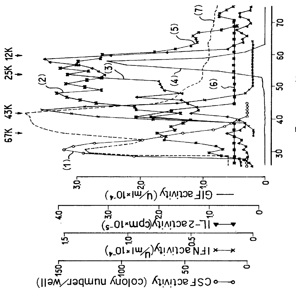 IL-1 beta and derivatives thereof and drugs