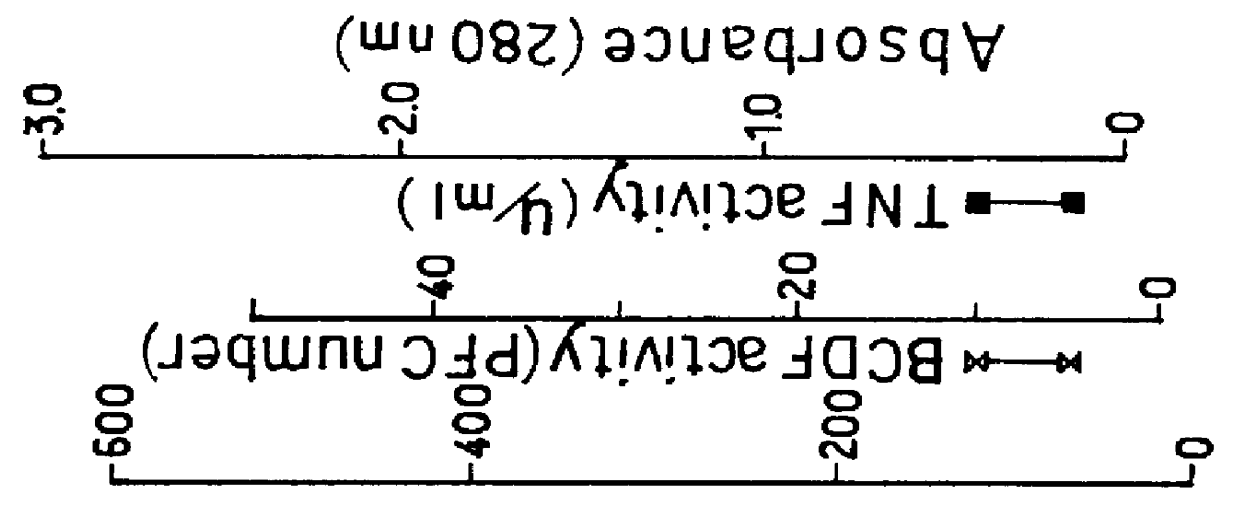 IL-1 beta and derivatives thereof and drugs