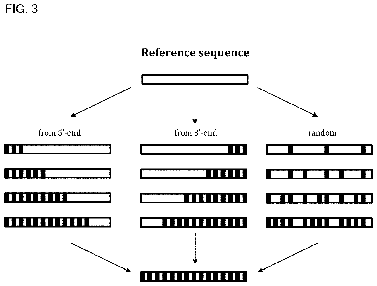 Translatable molecules and synthesis thereof