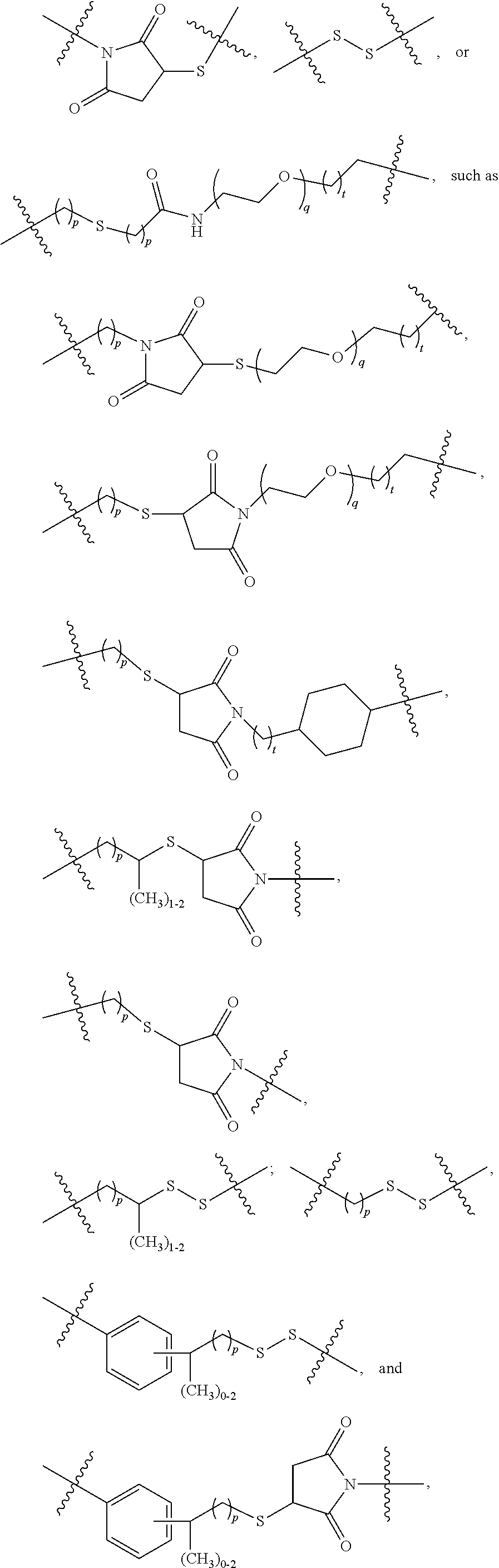 Terminally Modified Polymers and Conjugates Thereof