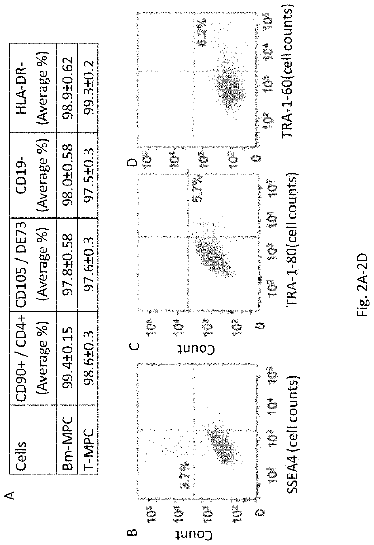 Methods for generating multipotent stem cells from tonsillar biopsies