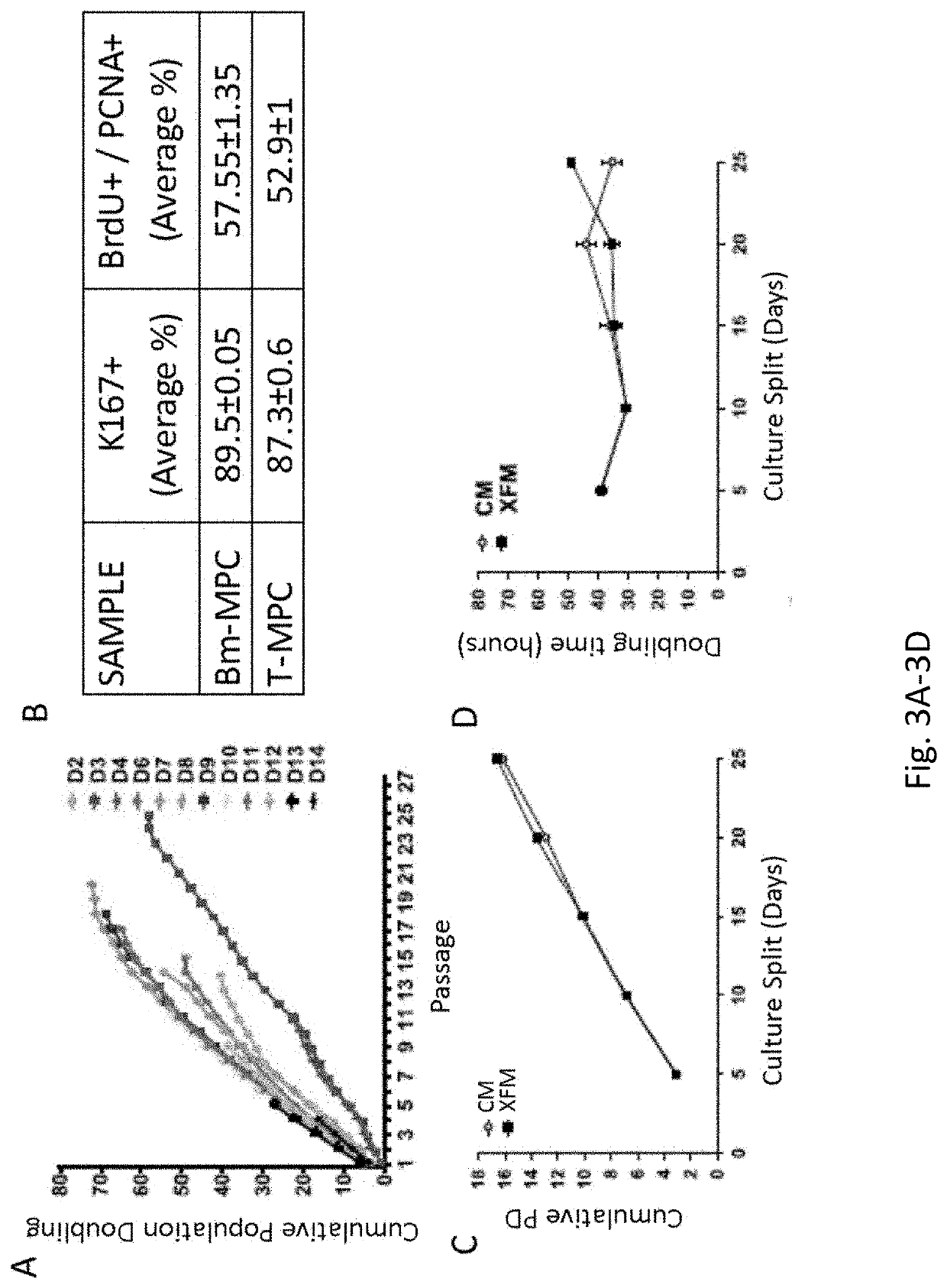 Methods for generating multipotent stem cells from tonsillar biopsies