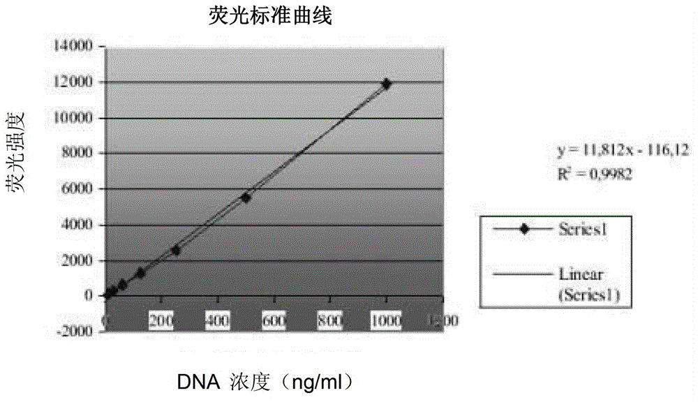 Salmonella enteritidis nucleic acid standard sample as well as building method and application thereof