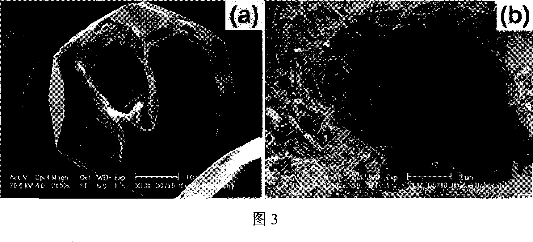 Core-shell structure zeolite multilevel ordered mesopore and micropore composite material and preparation method thereof