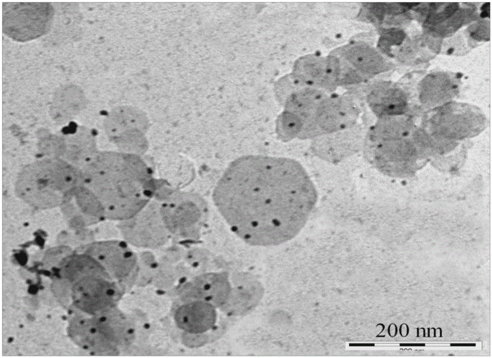 Layered bimetal hydroxide / selenium nanocomposite and application thereof
