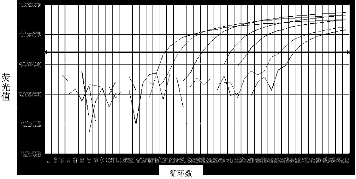 Kit for quantitatively detecting expression level of specific gene 1 mRNA (messenger Ribonucleic Acid) in human breast cancer