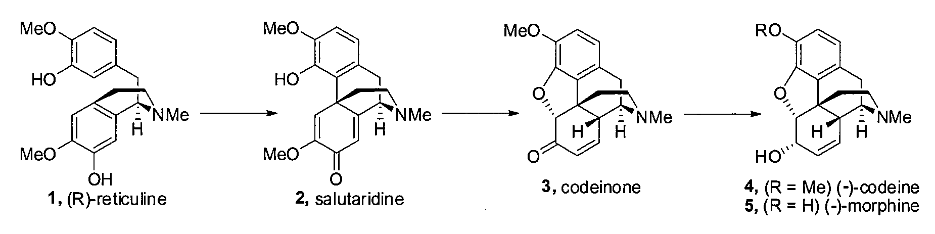 Efficient Synthesis Of Galanthamine
