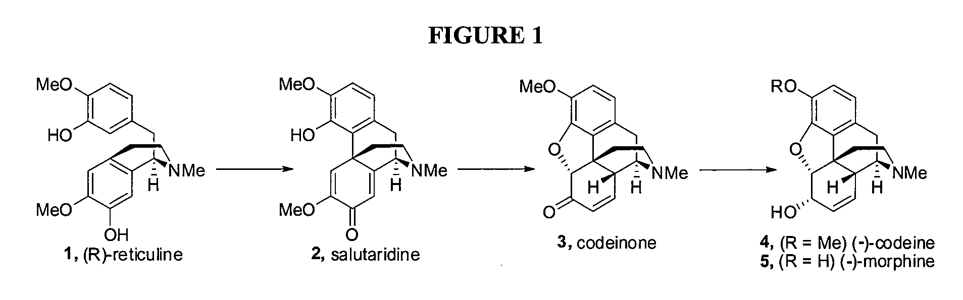 Efficient Synthesis Of Galanthamine