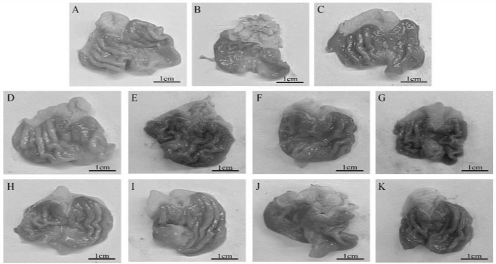 Oligosaccharide composition extracted from traditional Chinese medicines as well as preparation method and application of oligosaccharide composition