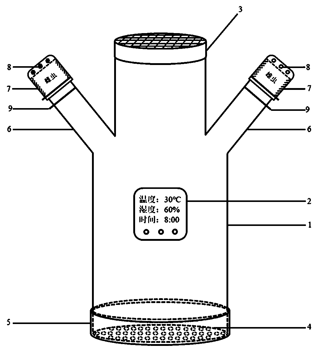 Lasioderma serricorne feeding separation device and female and male adult separation method using same