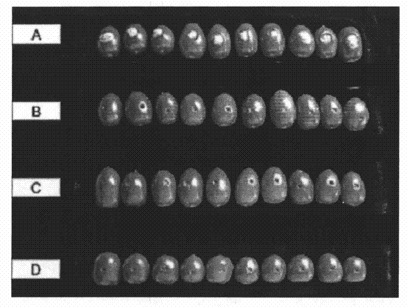 Erythrochromogenes and use thereof in biological control of diseases