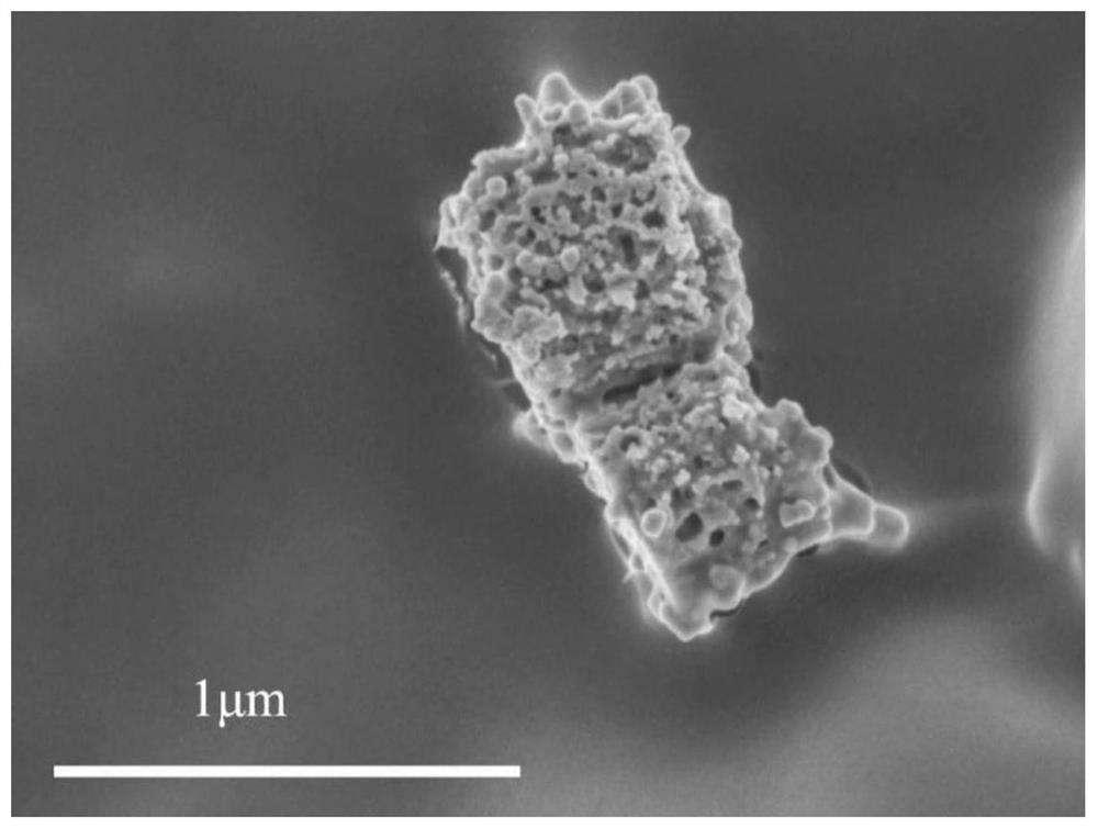 A kind of tempo pretreated nano-cellulose-cuprous oxide/silver micro-nano structure composite material and its preparation method and application