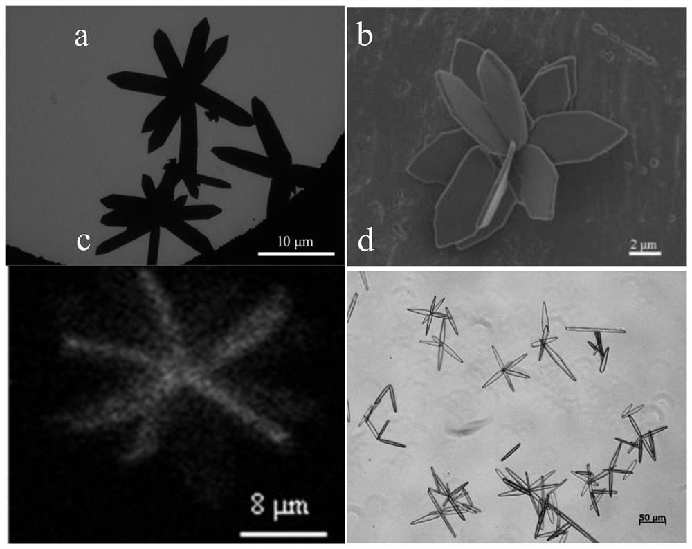 High-quantum-yield copper nanocluster fluorescent nanoflowers and preparation method and application thereof in LEDs