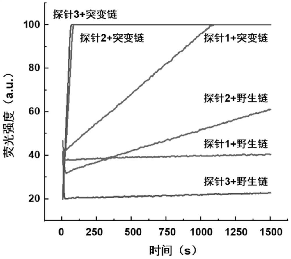 Rapid fluorescence detection method and application of egfr gene exon 19 deletion mutation