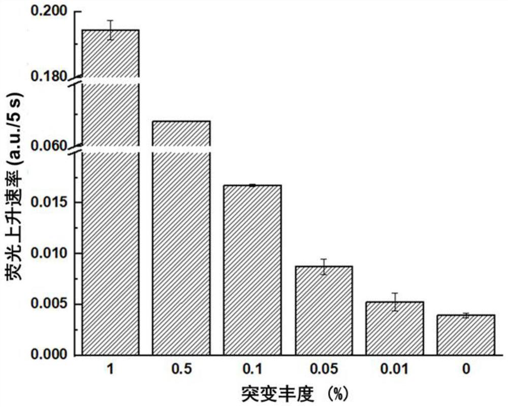 Rapid fluorescence detection method and application of egfr gene exon 19 deletion mutation