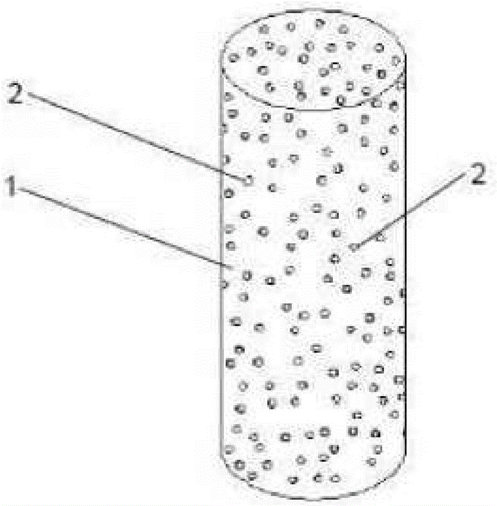 Porous PEEK material for dental implant