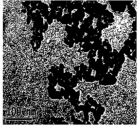 Method for synthesizing nano-zinc oxide by micro-emulsion carbon black adsorption precipitation method