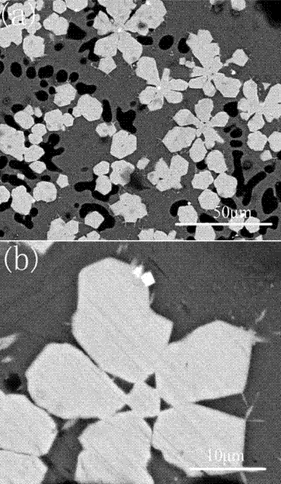 A kind of mg-zn-gd quasicrystal-reinforced az91 magnesium alloy and its preparation method