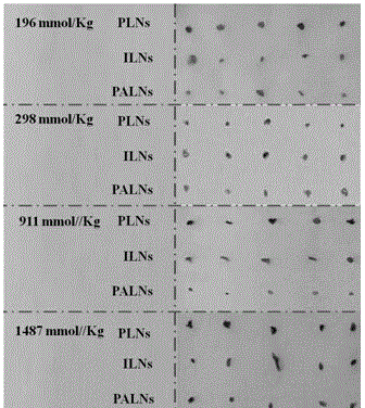 Isosulfan blue injection for lymphatic tracing and preparation method thereof
