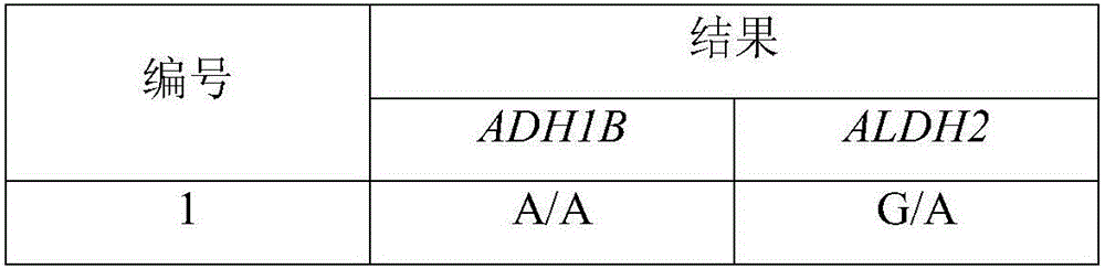 Primer for detecting polymorphism of ADH1B gene and ADH2B gene, and application of primer