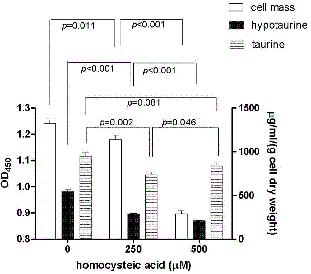 Application of reagent for inhibiting bio-synthesis of endogenous metabolite hypotaurine in preparation of medicine for inhibiting tumor cell proliferation