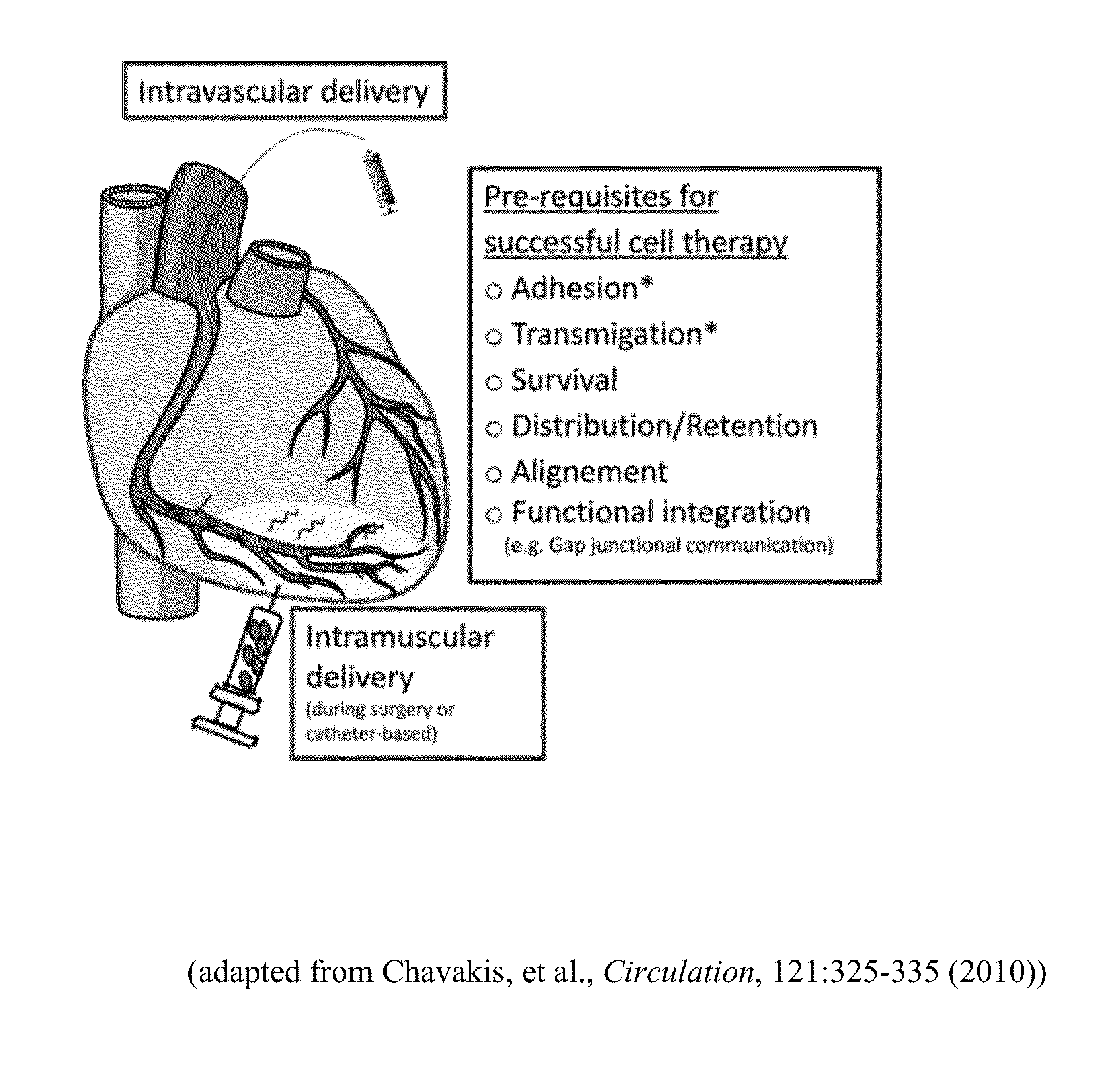 Methods and Compositions for Treating Post-Cardial Infarction Damage