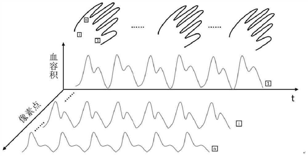 Real-time monitoring method and system for blood perfusion of skin at different depths