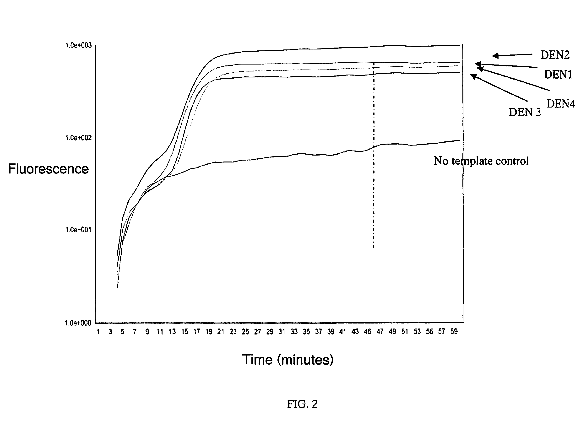 RT-LAMP assay for the detection of pan-serotype dengue virus