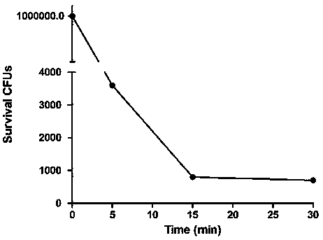 A fusion lyase for lysing Escherichia coli