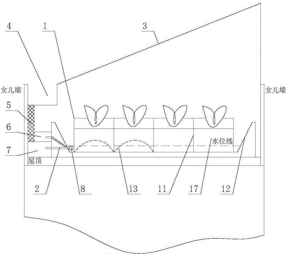 Method for cultivating crops on roof