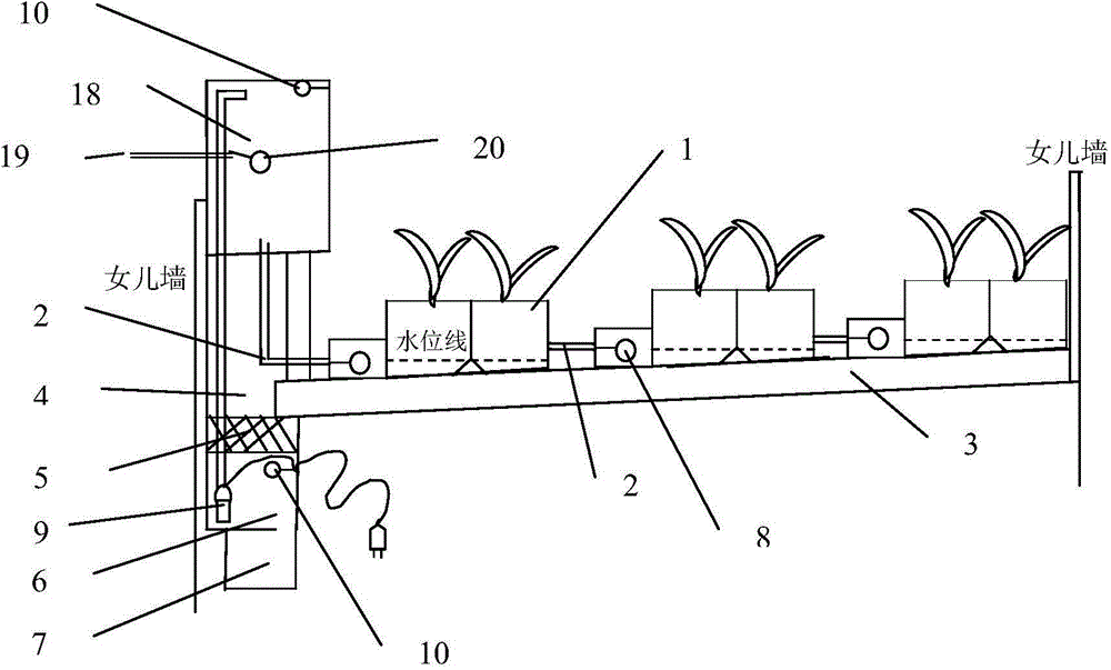 Method for cultivating crops on roof