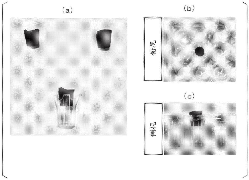 Culture container for culturing epithelial cells and use thereof