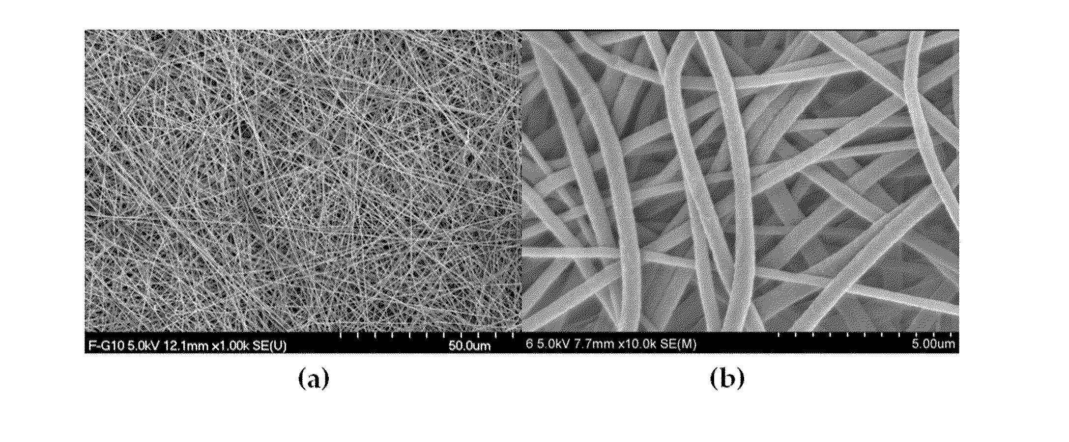 Nano-fibered membrane for western blot and manufacturing method of the same