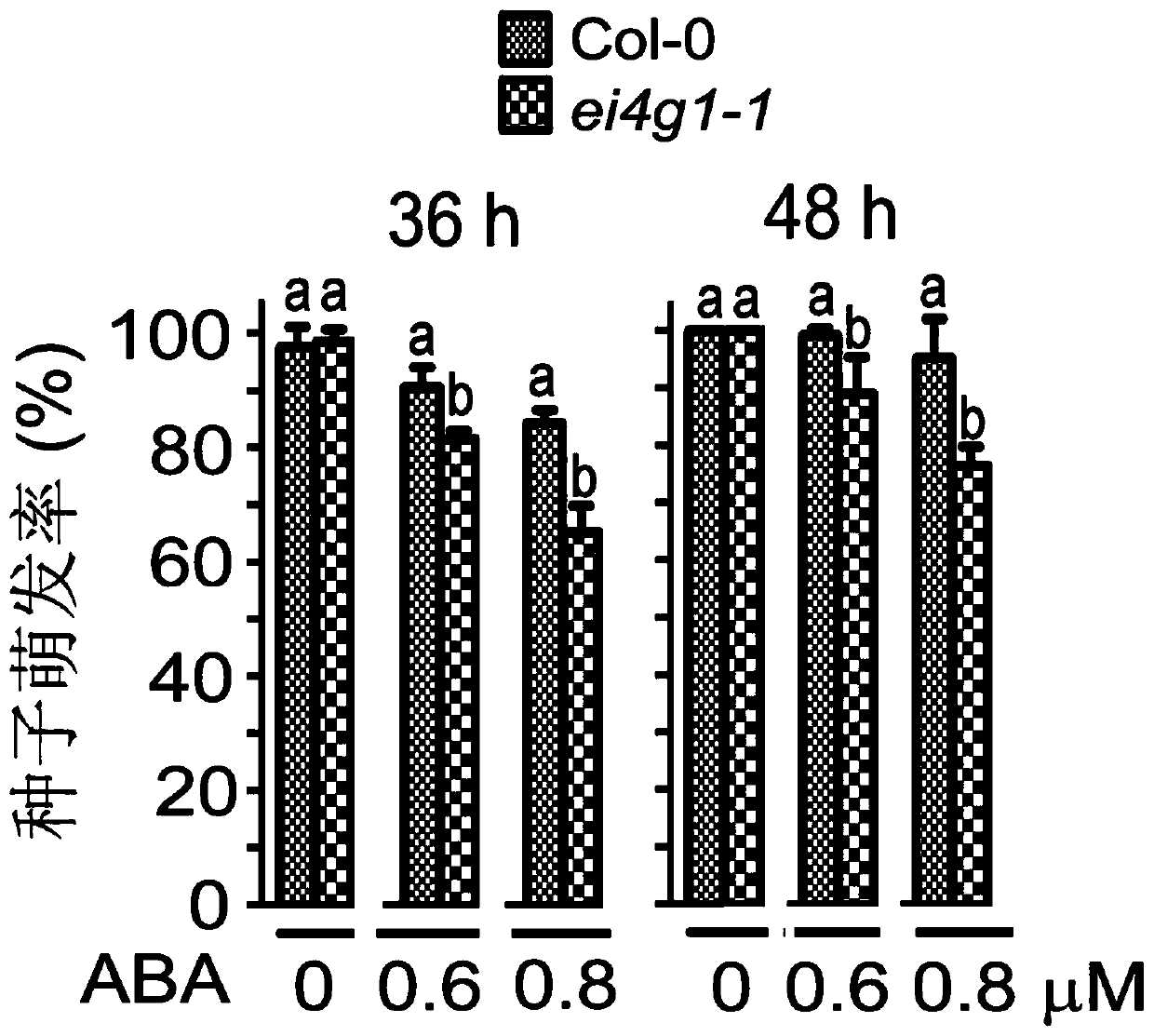 Application of eIFiso4G1 protein in regulating and controlling tolerance of plants to ABA