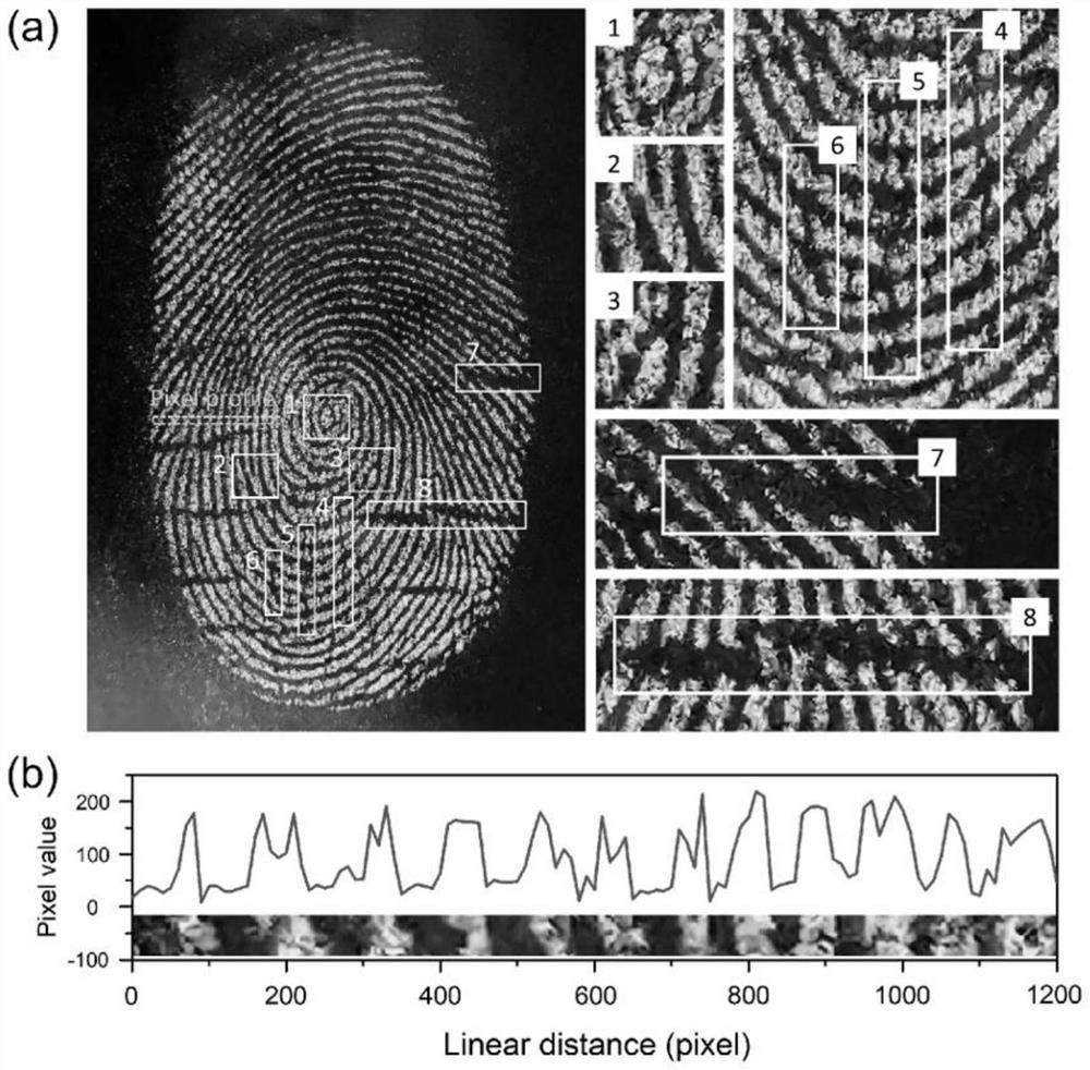 Fluorescent powder for displaying potential fingerprints and preparation method thereof