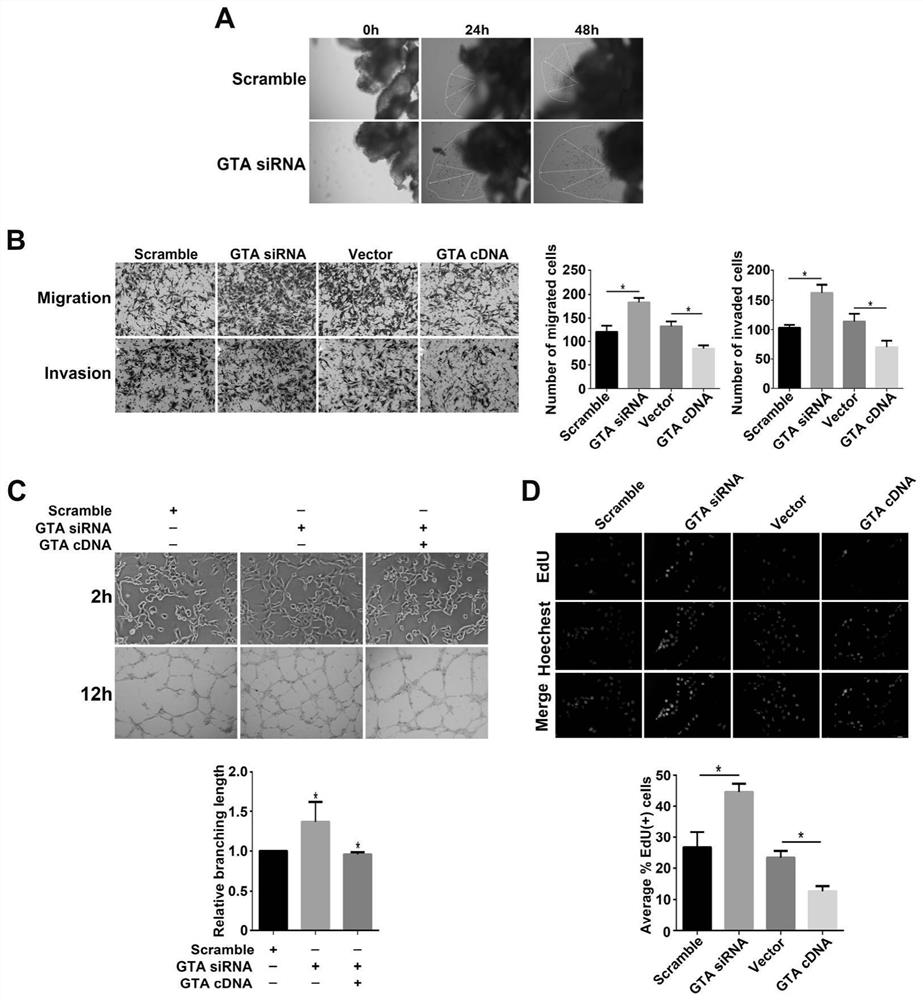 Biomarker for predicting preeclampsia and application thereof