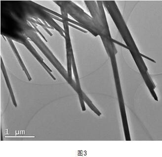 A kind of graphene oxide in-situ growth hollow structure nano-tungsten oxide wire