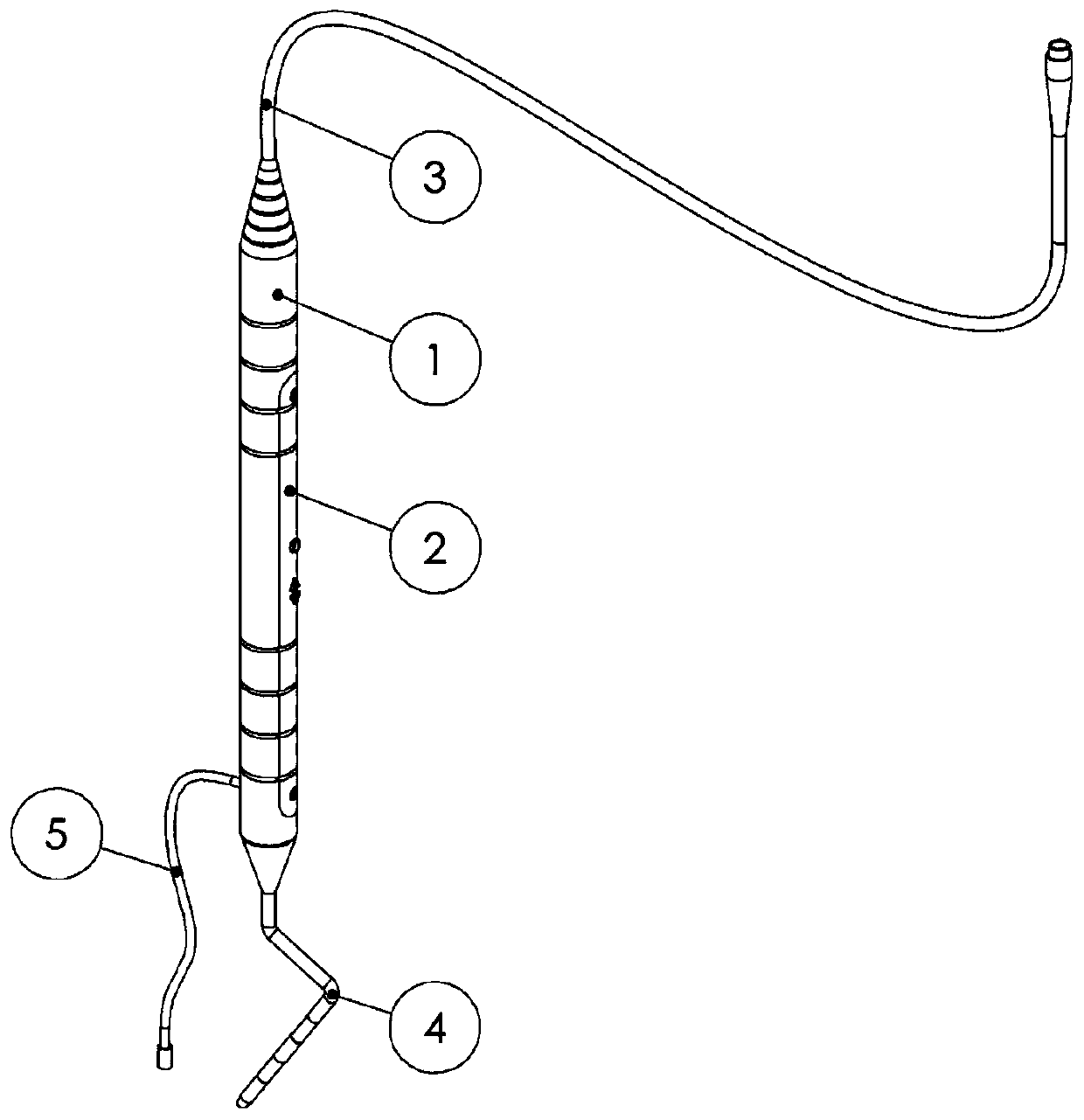 Visual periodontal probe