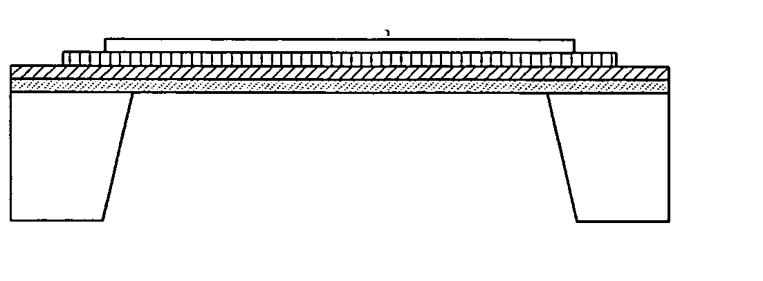 Microphone and speaker having plate spring structure and speech recognition/synthesizing device using the microphone and the speaker