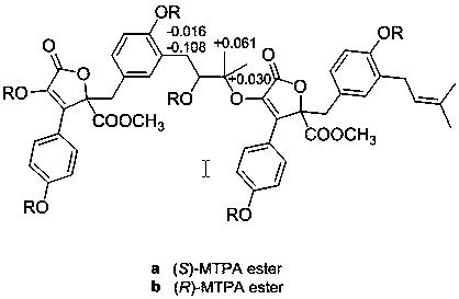 Butenolide dimer having effects of restraining COX-2 and resisting oxidation and application of butenolide dimer having effects of restraining COX-2 and resisting oxidation